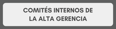 Comités Internos de la Alta Gerencia